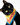 Bandana Michi | Para Gatos | Colombia - Bandana - Talla: - Geek Hunters