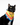 Bandana Michi | Para Gatos | Colombia - Bandana - Talla: - Geek Hunters