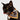 Bandana Michi | Para Gatos | El Maullido - Bandana - Talla: - Geek Hunters