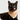 Bandana Michi | Para Gatos | Gatolicismo Vainilla - Bandana - Talla: - Geek Hunters